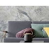 Noordwand Komar Raw Fotobehang Flower Fossil - RSX4-020