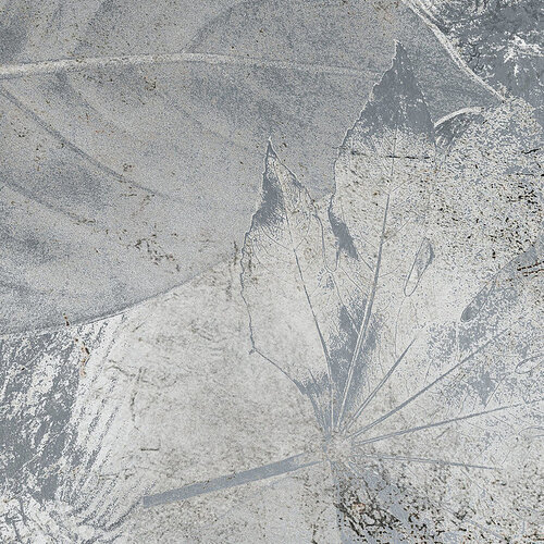 2,8m x 2m