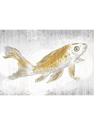 Noordwand Komar Raw Fotobehang Golden Koi - RSX8-049