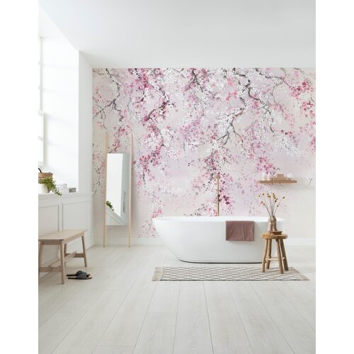 2,8m x 4m