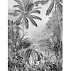 Noordwand Komar Raw Fotobehang Lac Tropical Black & White - R2-008