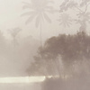 Noordwand Komar Raw Fotobehang Lac Tropical Pure - R2-009 Noordwand Komar Raw Fotobehang Lac Tropical Pure - R2-009