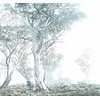Noordwand Komar Raw Fotobehang Magic Trees - R3-023 Noordwand Komar Raw Fotobehang Magic Trees - R3-023
