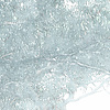 Noordwand Komar Raw Fotobehang Magic Trees - R3-023 Noordwand Komar Raw Fotobehang Magic Trees - R3-023