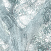 Noordwand Komar Raw Fotobehang Magic Trees - R3-023 Noordwand Komar Raw Fotobehang Magic Trees - R3-023
