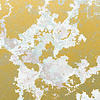Noordwand Komar Raw Fotobehang Marbelous - RSX8-056 Noordwand Komar Raw Fotobehang Marbelous - RSX8-056