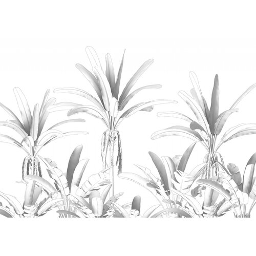 4m x 2,8m 4m x 2,8m