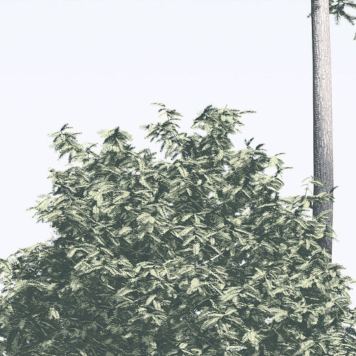 4m x 2,8m 4m x 2,8m