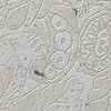 Noordwand Komar Raw Fotobehang Puro - R3-032 Noordwand Komar Raw Fotobehang Puro - R3-032