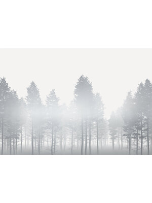 Noordwand Komar Raw Fotobehang Silver Haze - RSX8-055