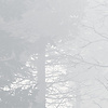 Noordwand Komar Raw Fotobehang Silver Haze - RSX8-055 Noordwand Komar Raw Fotobehang Silver Haze - RSX8-055