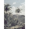 Noordwand Komar Raw Fotobehang The Exotic Land - R2-006 Noordwand Komar Raw Fotobehang The Exotic Land - R2-006