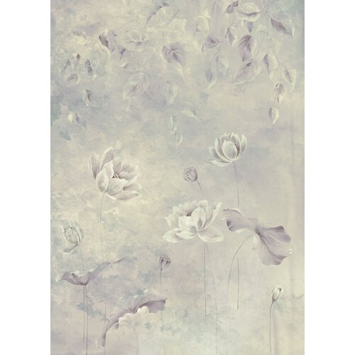 2m x 2,8m 2m x 2,8m