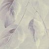 Noordwand Komar Raw Fotobehang Water Lily - R2-016 Noordwand Komar Raw Fotobehang Water Lily - R2-016