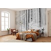 Noordwand Komar Raw Fotobehang Winter Wood - R4-043