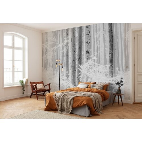 4m x 2,8m