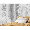 Noordwand Komar Raw Fotobehang Winter Wood - R4-043