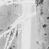 Noordwand Komar Raw Fotobehang Winter Wood - R4-043
