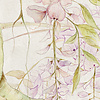 Noordwand Komar Raw Fotobehang Wisteria - R4-050 Noordwand Komar Raw Fotobehang Wisteria - R4-050