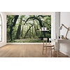 Noordwand Komar Stefan Hefele Fotobehang Ancient Green - SHX9-104