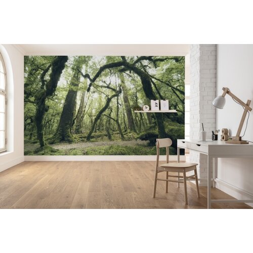 2,8m x 4,5m