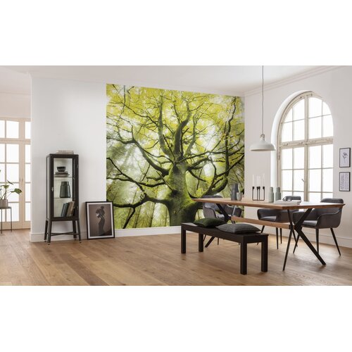 2,8m x 4,5m 2,8m x 4,5m