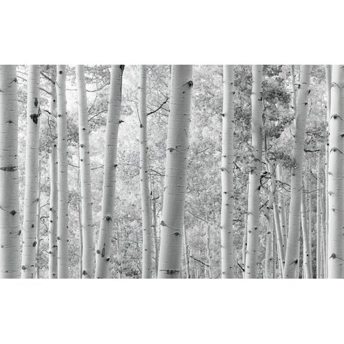 2,8m x 4,5m 2,8m x 4,5m