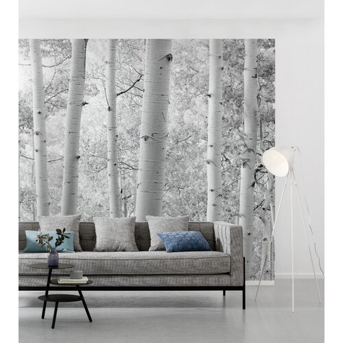 2,8m x 4,5m 2,8m x 4,5m