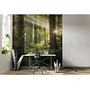 Noordwand Komar Stefan Hefele Fotobehang Goblins Woods - SHX5-037