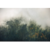 Noordwand Komar Stefan Hefele Fotobehang Tales of the Carpathians - SH036-VD3 Noordwand Komar Stefan Hefele Fotobehang Tales of the Carpathians - SH036-VD3