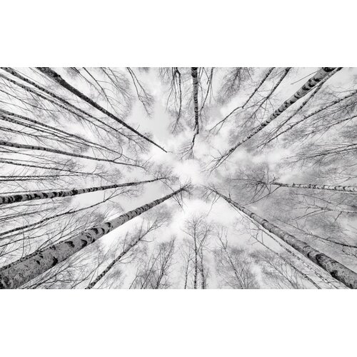 2,8m x 4,5m