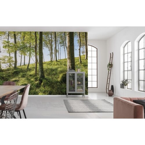 2,8m x 4,5m