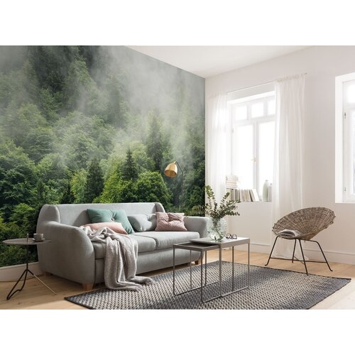 2,8m x 3m 2,8m x 3m