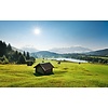Komar Stefan Hefele; Komar Wanderlust Fotobehang Bergwiese vor Karwendel - SHX9-009 Komar Stefan Hefele; Komar Wanderlust Fotobehang Bergwiese vor Karwendel - SHX9-009