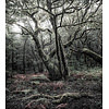 Komar Stefan Hefele; Komar Wanderlust Fotobehang Das Model - SHX5-018