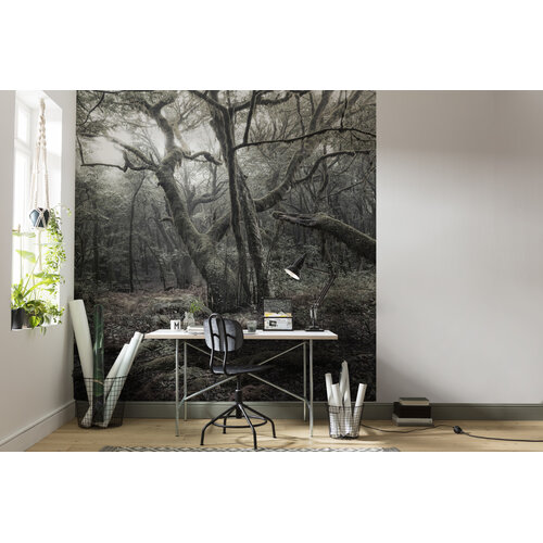 2,8m x 2,5m