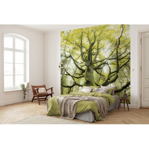 2,8m x 3m