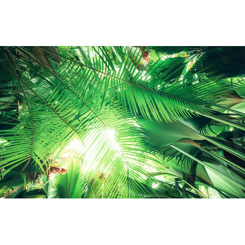2,8m x 4,5m