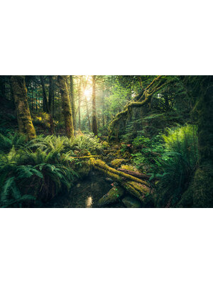 Komar Stefan Hefele; Komar Wanderlust Fotobehang Elves Cathedral - SHX9-028