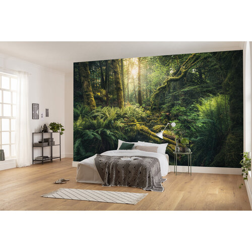 2,8m x 4,5m 2,8m x 4,5m