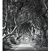 Komar Stefan Hefele; Komar Wanderlust Fotobehang Forevenue - SHX5-033
