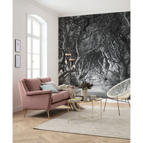 2,8m x 2m
