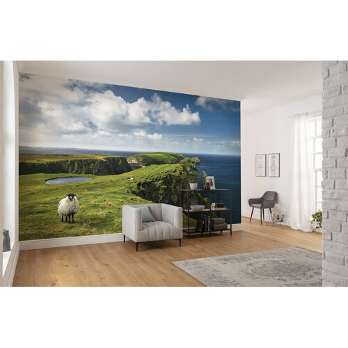 2,8m x 4,5m