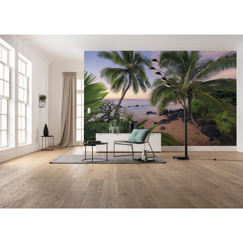 2,8m x 4,5m