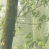 Komar Stefan Hefele; Komar Wanderlust Fotobehang Jurassic Island - SHX9-117 Komar Stefan Hefele; Komar Wanderlust Fotobehang Jurassic Island - SHX9-117
