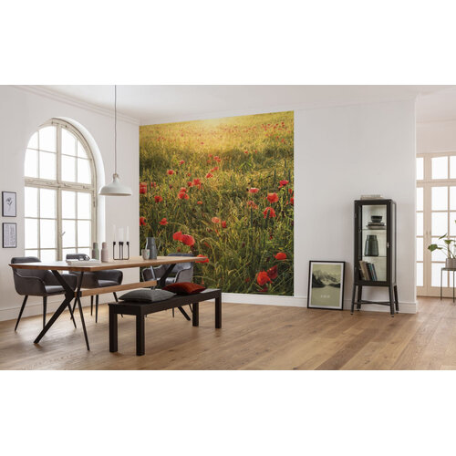 2,8m x 2,5m