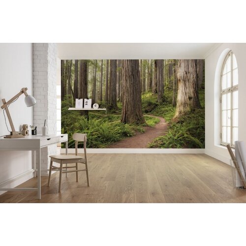 2,8m x 4,5m