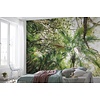 Komar Stefan Hefele; Komar Wanderlust Fotobehang Touch the Jungle - SHX9-128