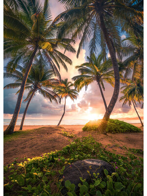 Komar Stefan Hefele; Komar Wanderlust Fotobehang Vertical Paradise - SHX4-090 Komar Stefan Hefele; Komar Wanderlust Fotobehang Vertical Paradise - SHX4-090