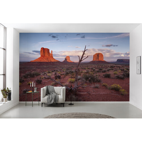 2,8m x 4,5m